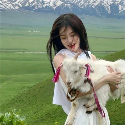 向阳花木易为春