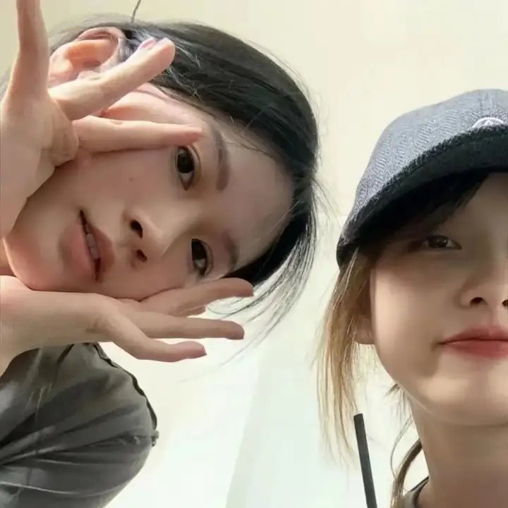 奇波和神奇动物的时代第一季